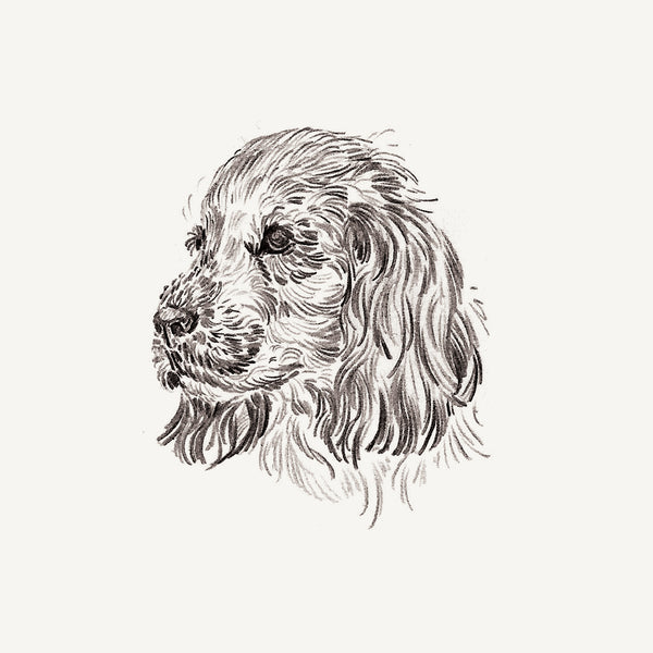 Mini Bespoke Pet Portrait - A6