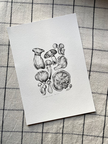 Mushrooms Original Drawing - A5