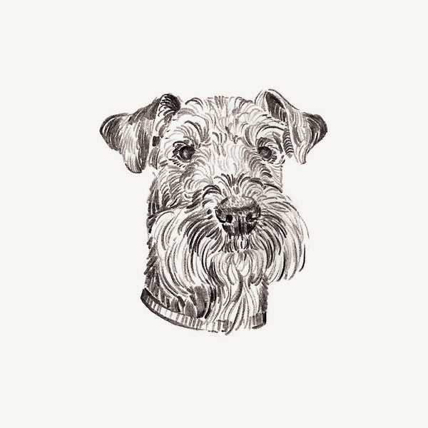 Mini Bespoke Pet Portrait - A6