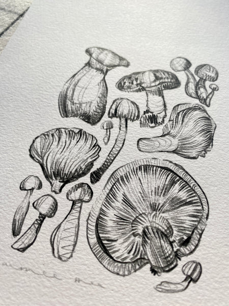 Mushrooms Original Drawing - A5