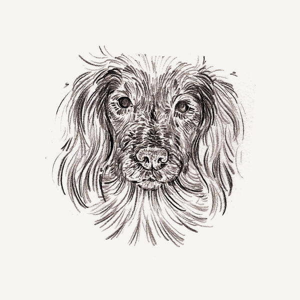 Mini Bespoke Pet Portrait - A6