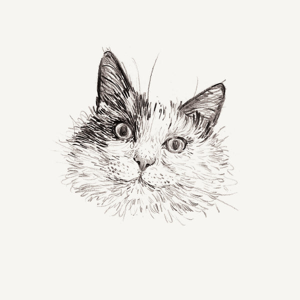 Mini Bespoke Pet Portrait - A6