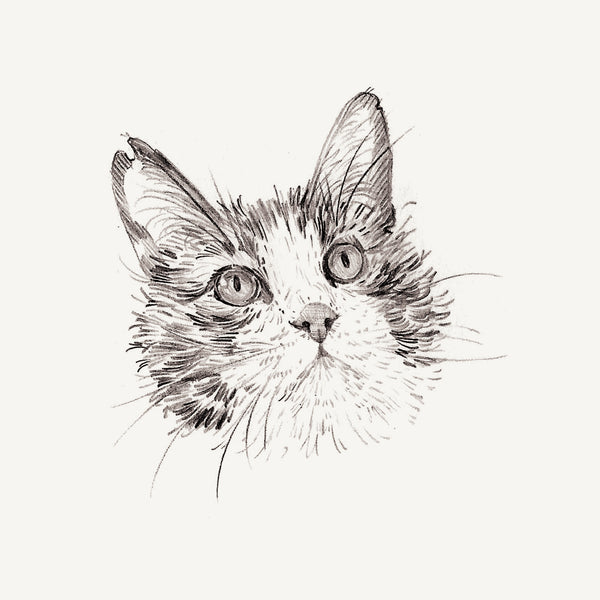 Mini Bespoke Pet Portrait - A6