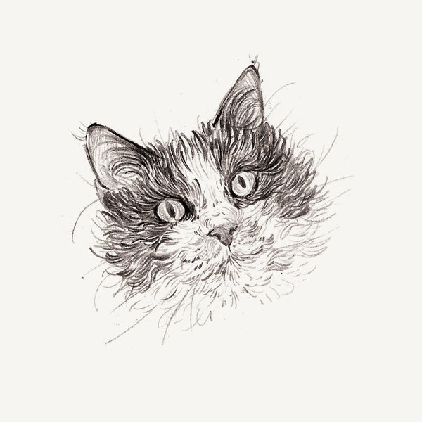 Mini Bespoke Pet Portrait - A6