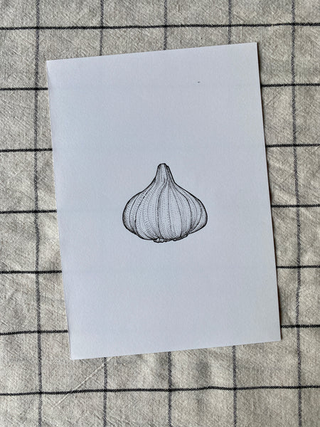 Garlic Original Drawing - A5