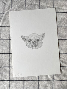 Chihuahua Original Drawing - A5