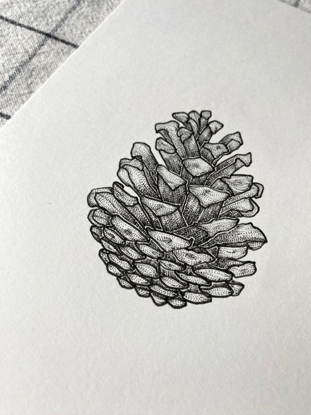 Pine Cone Original Drawing - A5