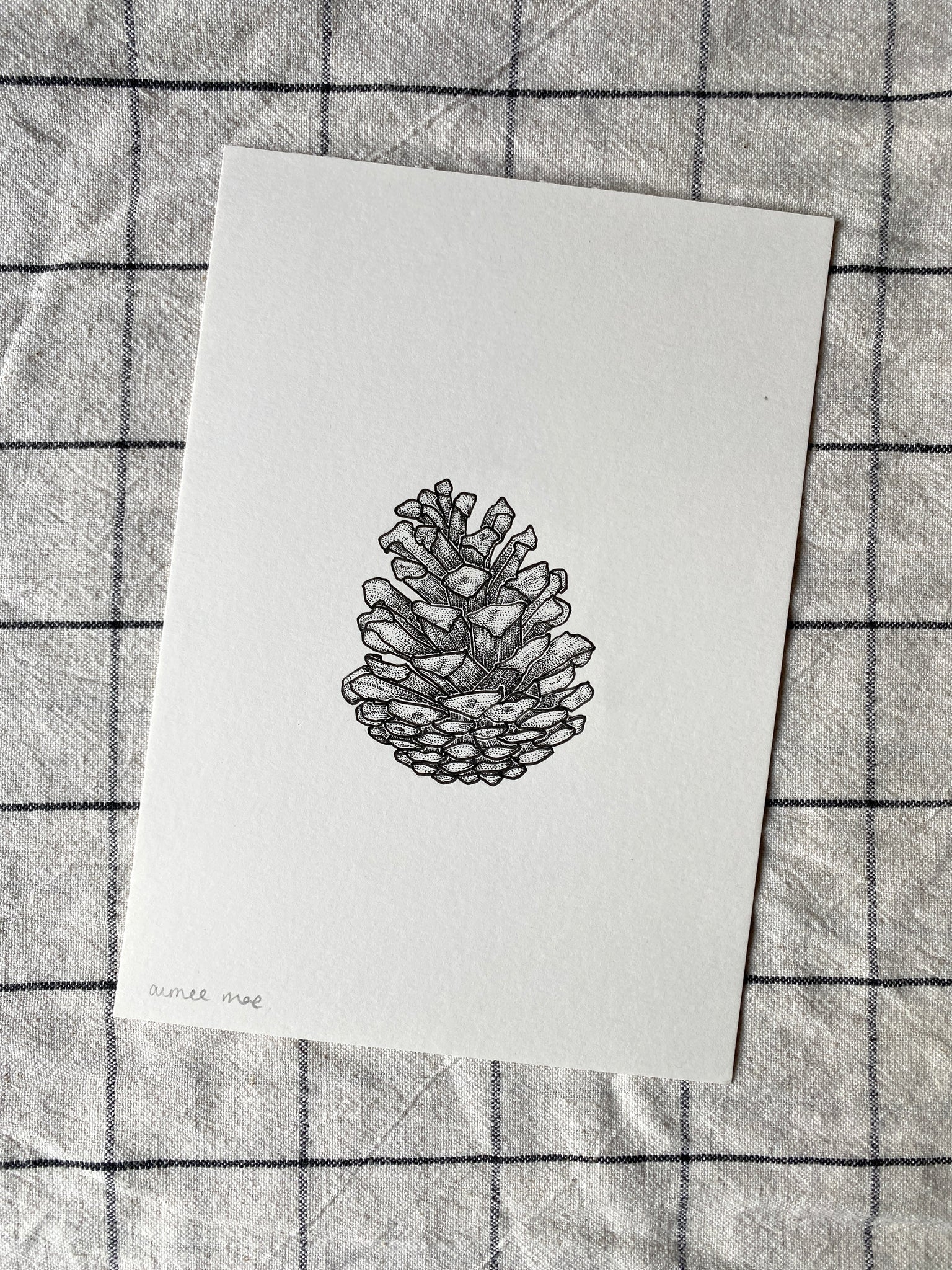 Pine Cone Original Drawing - A5