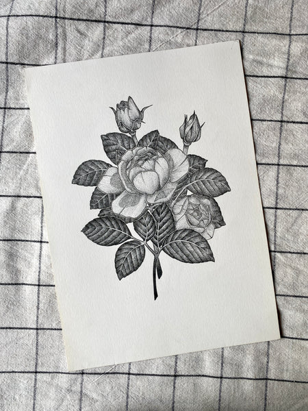 Rose Original Drawing - A4