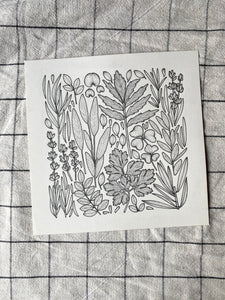 Herb Garden Original Drawing - 21cm x 21cm