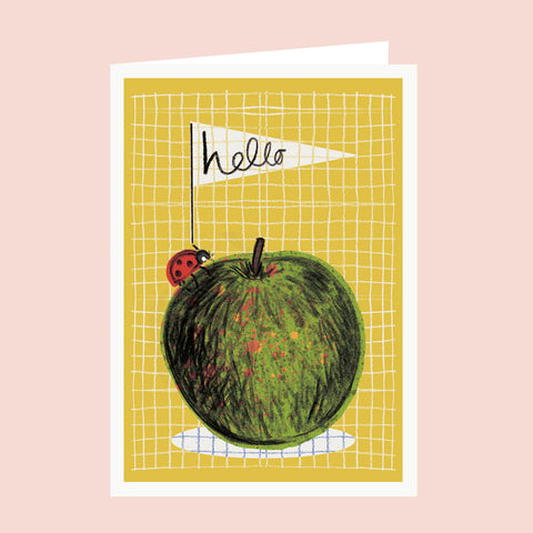 Hello Ladybird Card
