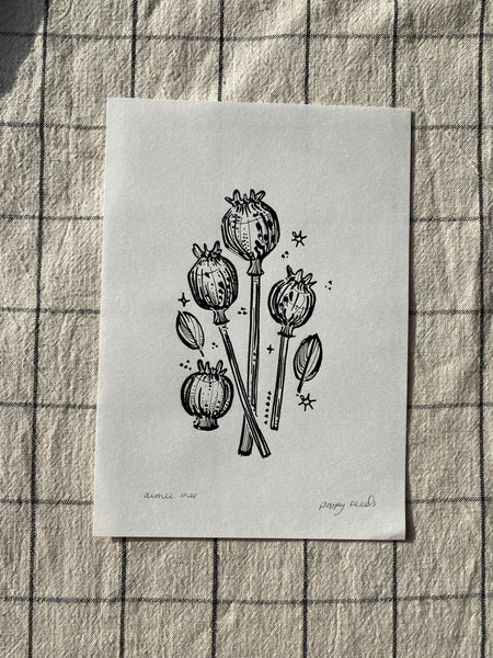 Poppy Seeds Original Drawing - A5