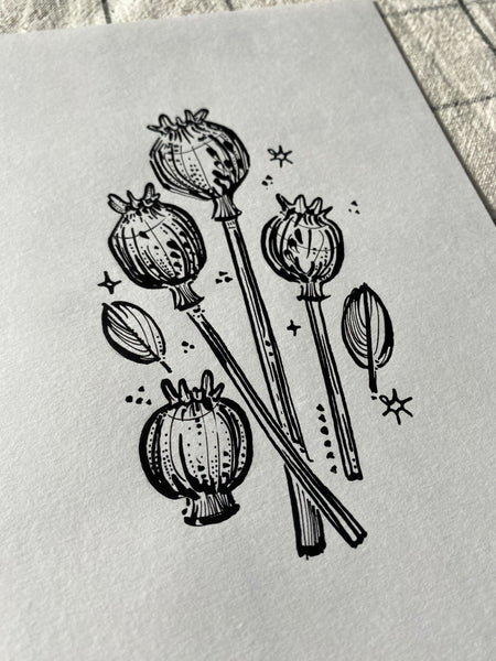 Poppy Seeds Original Drawing - A5