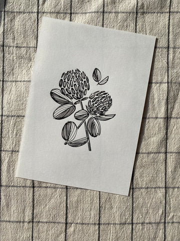 Clover Original Drawing - A5