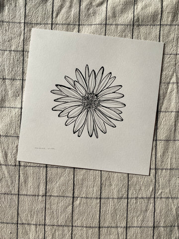 Daisy Original Drawing - 21cm x 21cm