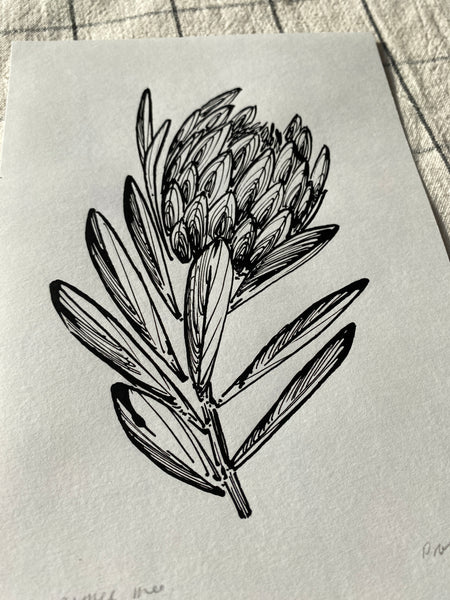 Protea Original Drawing - A5