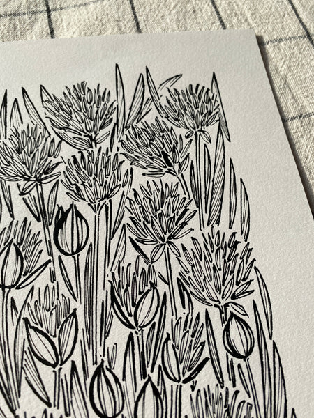 Chives Original Drawing - A5