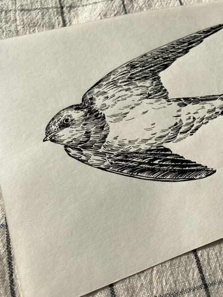Swallow Original Drawing -A5