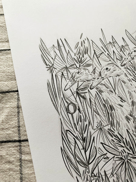 Orchard Ducks Original Drawing - A4