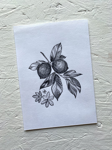 Lemon Original Drawing - A6