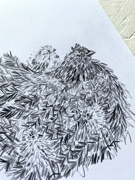 Hen & Chicks Original Drawing - A5
