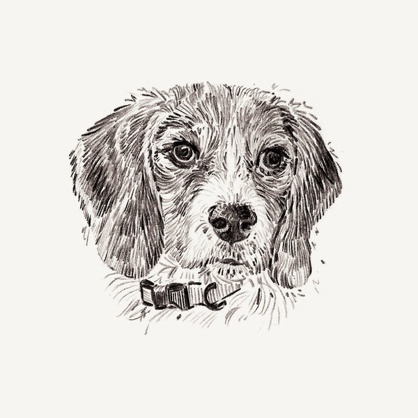 Bespoke Pet Portrait - A6