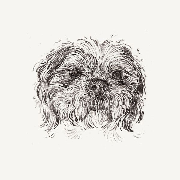 Bespoke Pet Portrait - A6