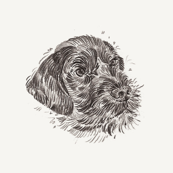 Bespoke Pet Portrait - A6