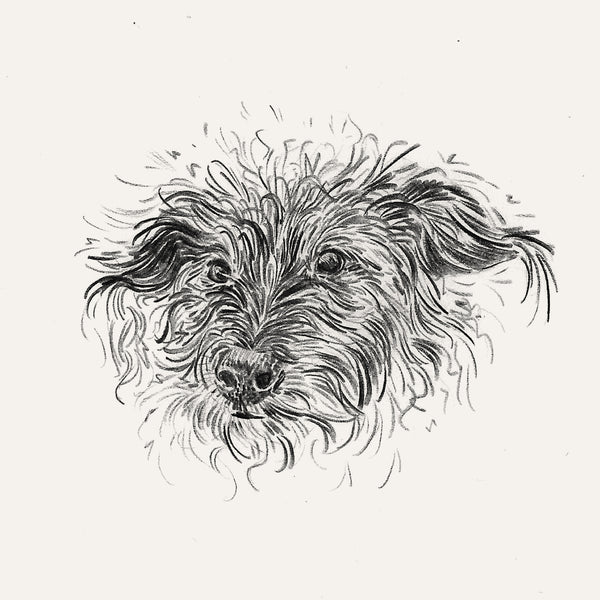 Bespoke Pet Portrait - A6