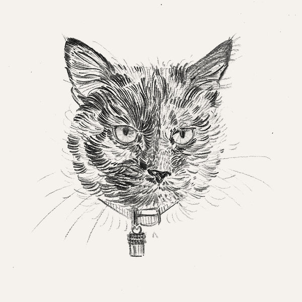 Bespoke Pet Portrait - A6