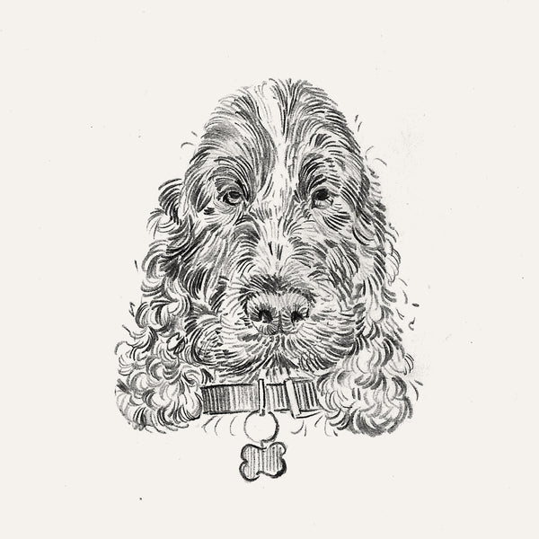 Bespoke Pet Portrait - A6