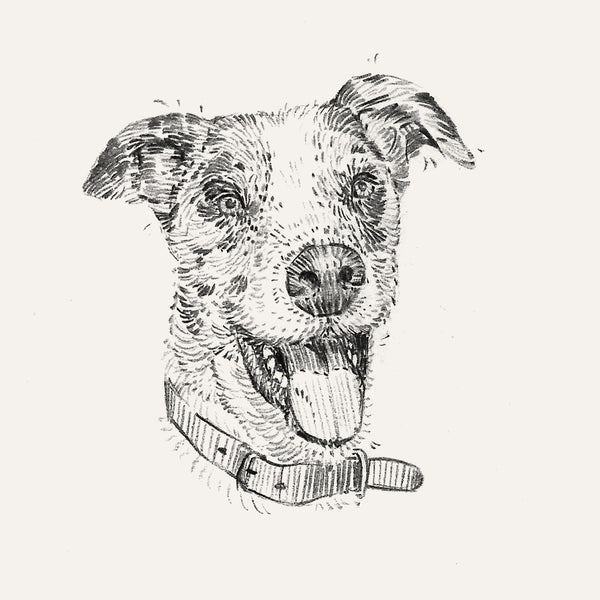 Bespoke Pet Portrait - A6