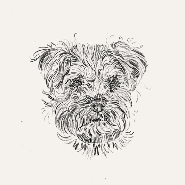Bespoke Pet Portrait - A6