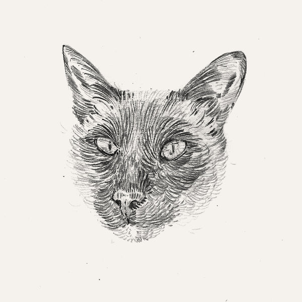 Bespoke Pet Portrait - A6