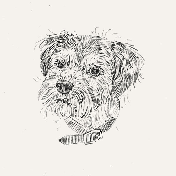 Bespoke Pet Portrait - A6