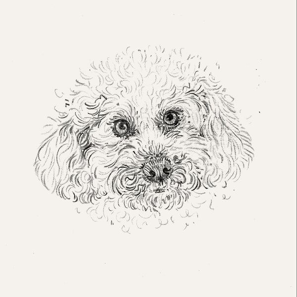 Bespoke Pet Portrait - A6