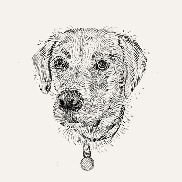 Bespoke Pet Portrait - A6