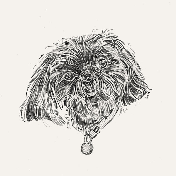 Bespoke Pet Portrait - A6