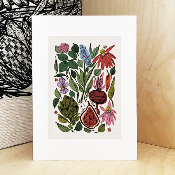 Plants Print - A3 - Limited Edition of 50