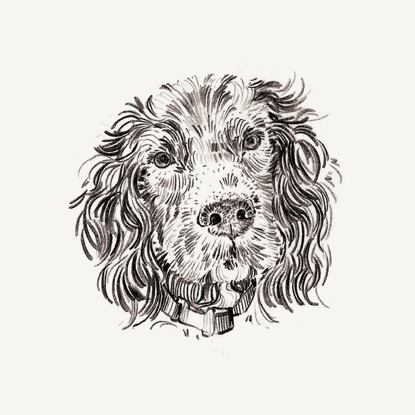 Mini Bespoke Pet Portrait - A6