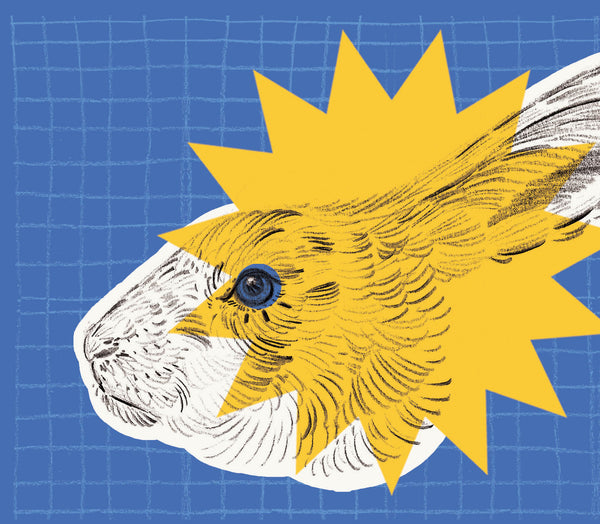 Patchwork Print - A3 - Edition of 20