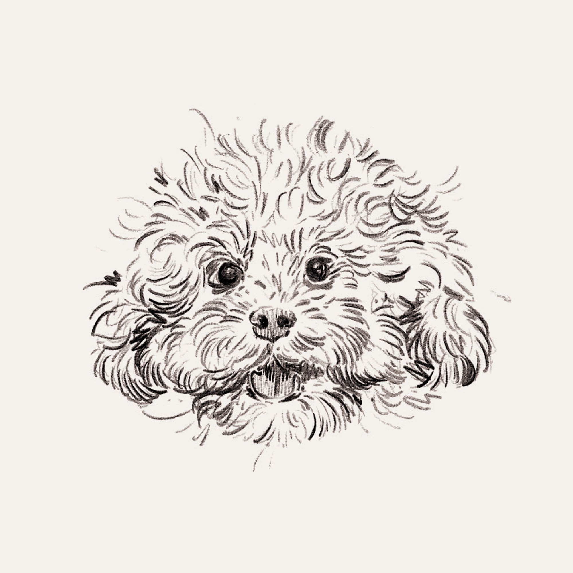 Bespoke Pet Portrait - A6