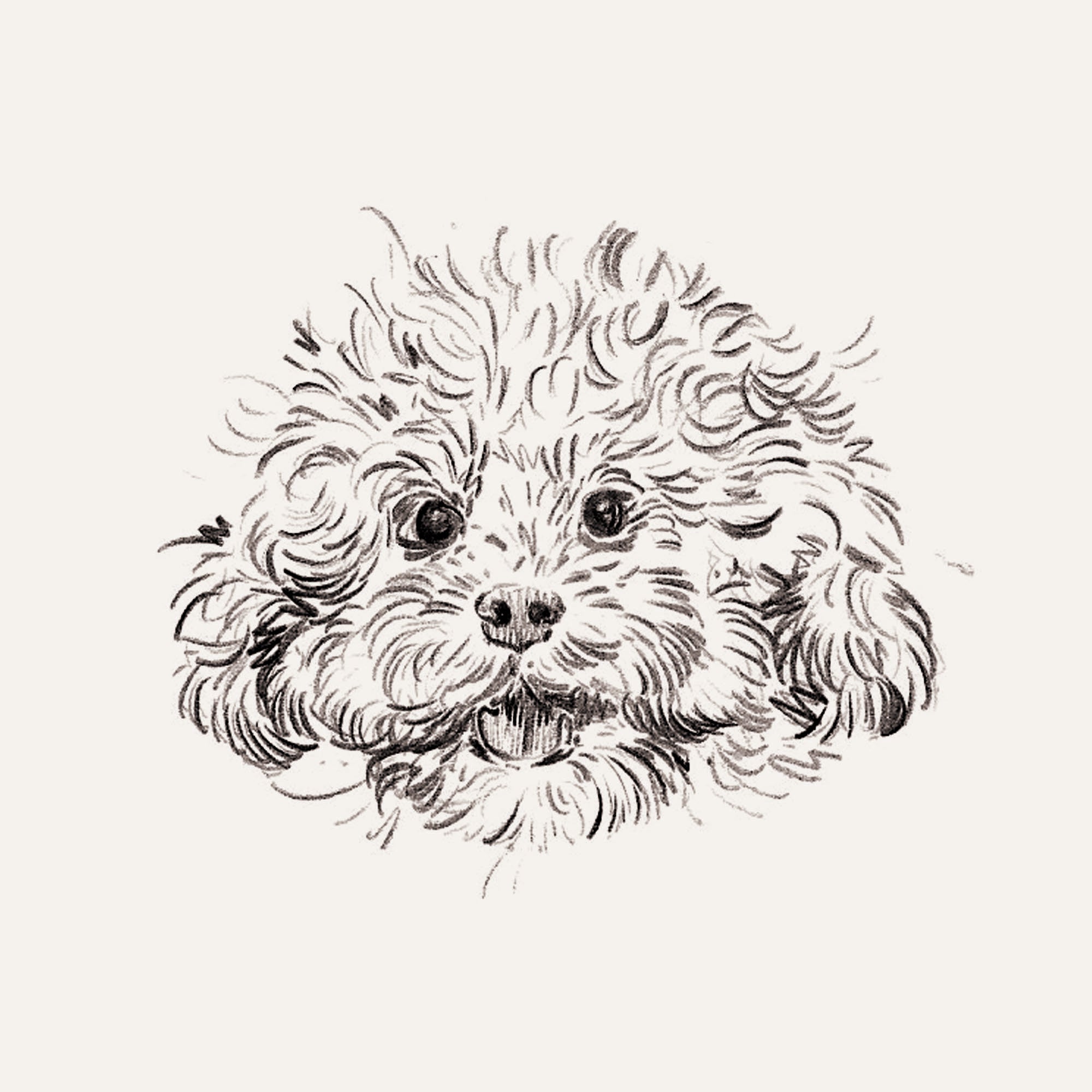 Mini Bespoke Pet Portrait - A6