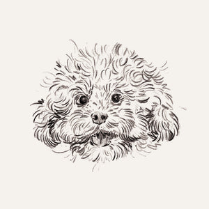 Bespoke Pet Portrait - A6