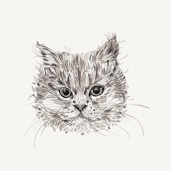 Bespoke Pet Portrait - A6