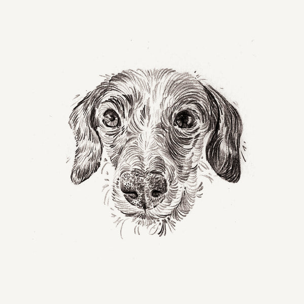 Mini Bespoke Pet Portrait - A6