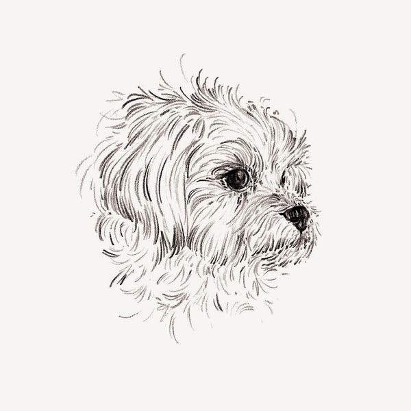 Mini Bespoke Pet Portrait - A6