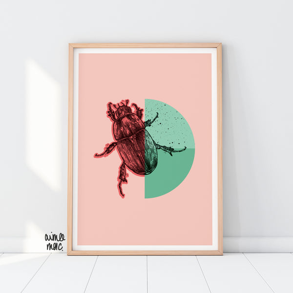 £5 Sale Prints!