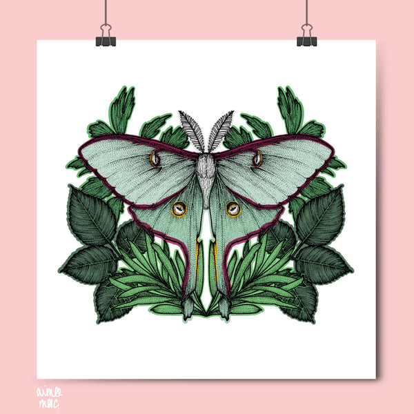 £5 Sale Prints!