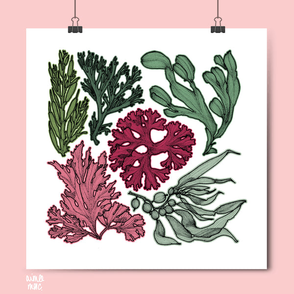 £5 Sale Prints!